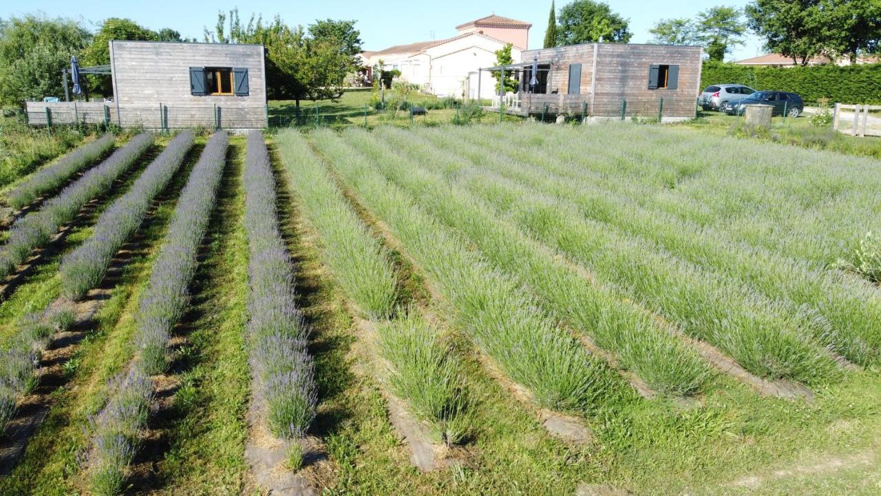 Domaine D'Elusa Vic-Fezensac Exterior foto