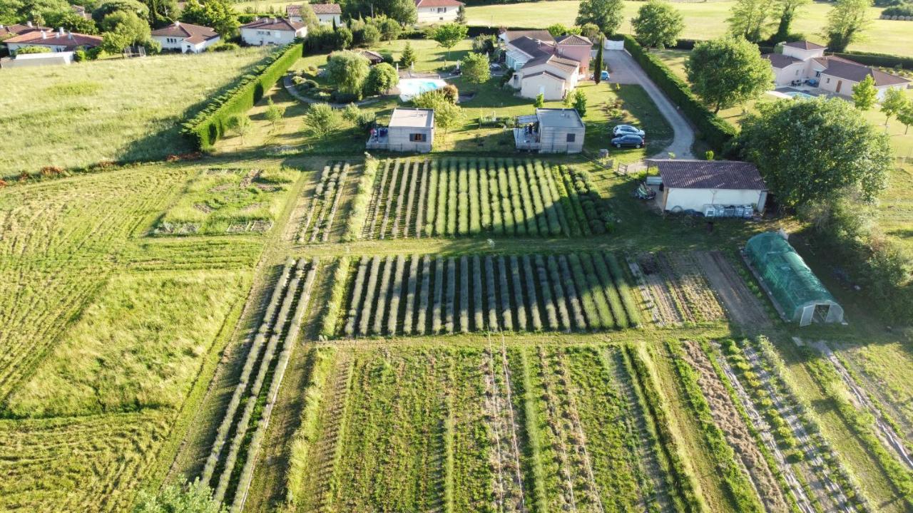 Domaine D'Elusa Vic-Fezensac Exterior foto
